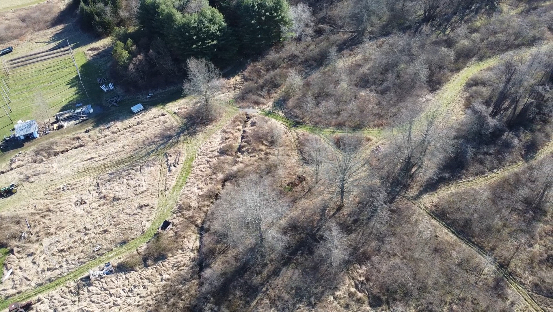 the alkaline chef vegan retreat